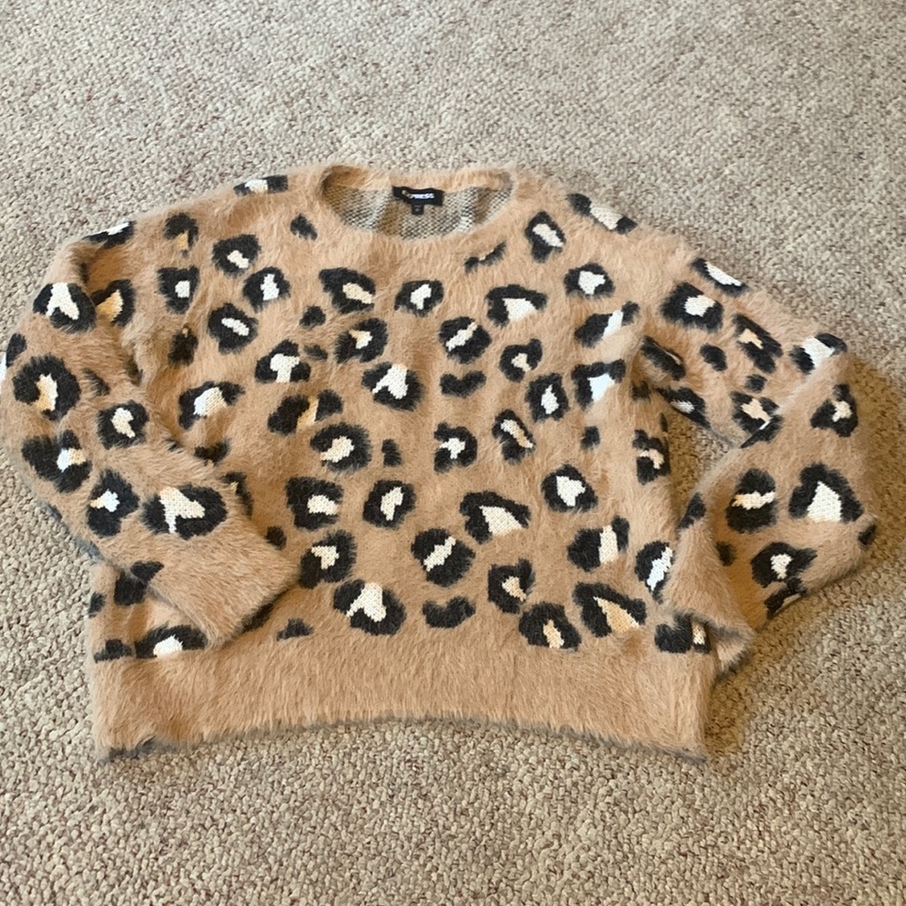 Express cheetah fur sweater